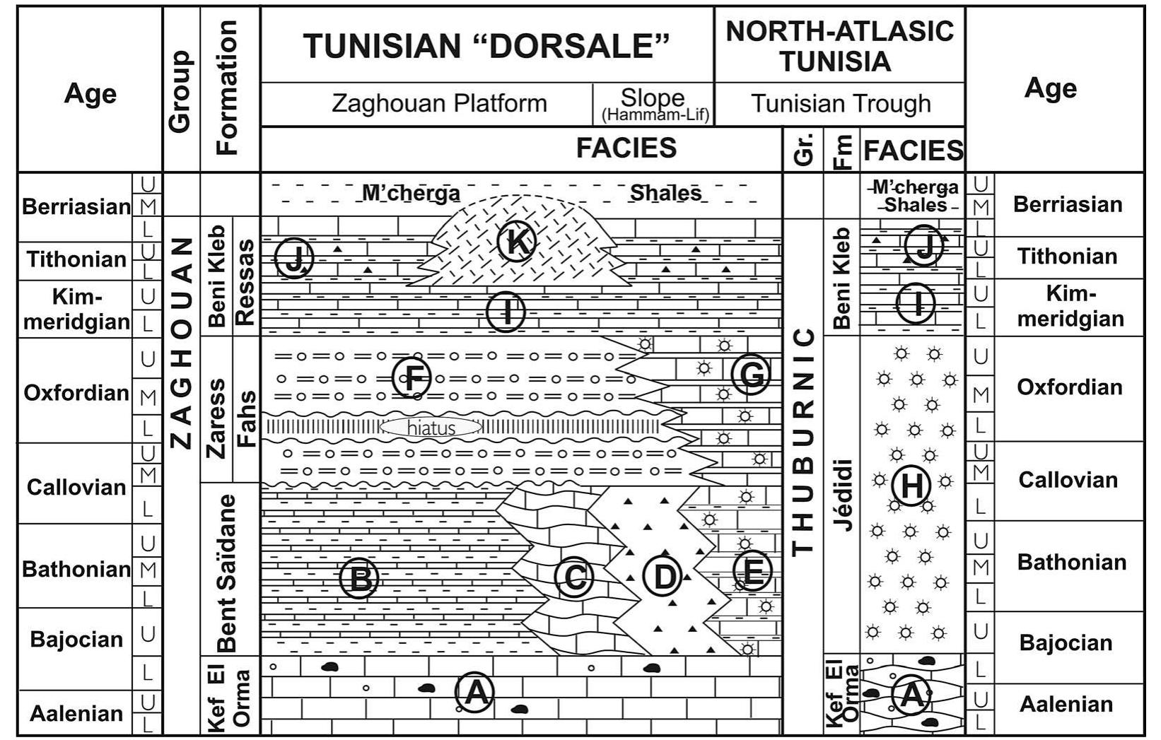 Stratigraphic chart and facies distribution in northern