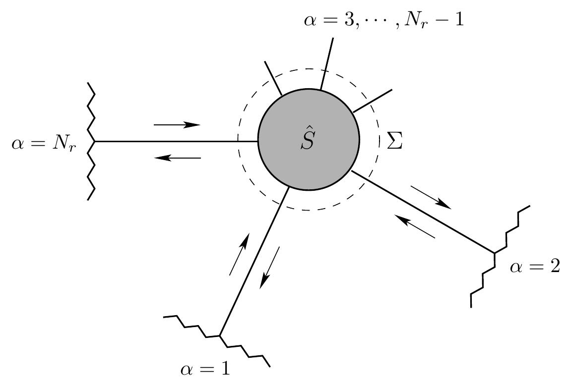 Fig. 1.1 A mesoscopic sample with scattering matrix §. The index a = 1,2,..., Nr numbers electron reservoirs. The arrows directed to (from) the scatterer show a propa- gation direction for incident (scattered) electrons. The electron flow is calculated at the surface 4 shown as a dashed line. 