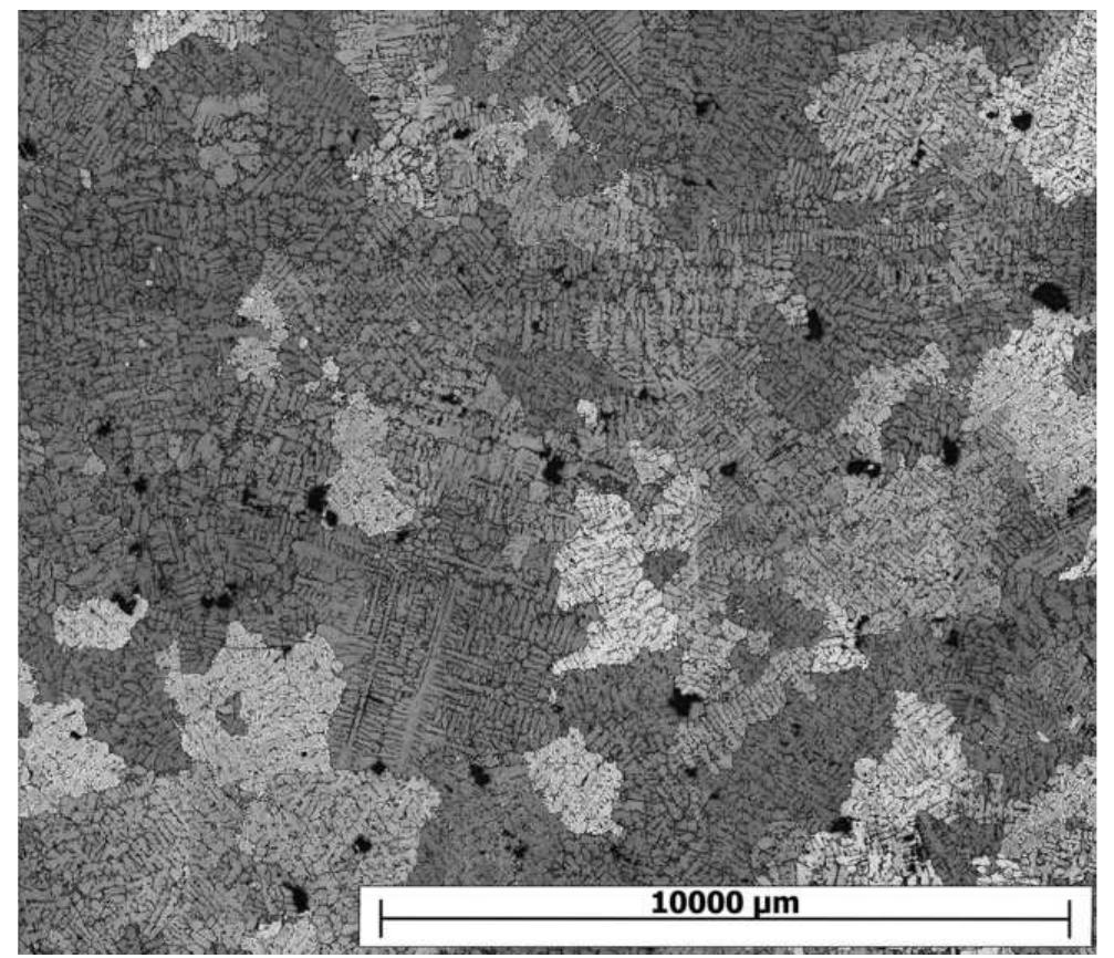 Grain structure of an as cast al7% si0.3%mg sample. optical