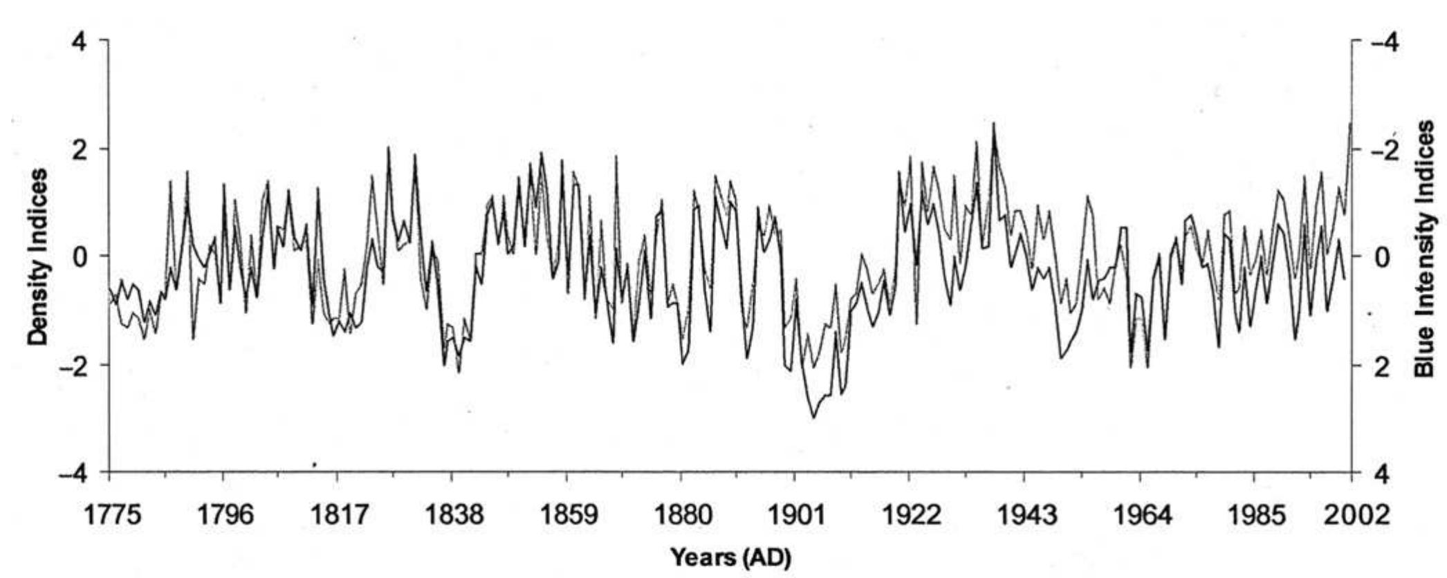 (PDF) Blue intensity in Pinus sylvestris tree-rings: developing a new ...