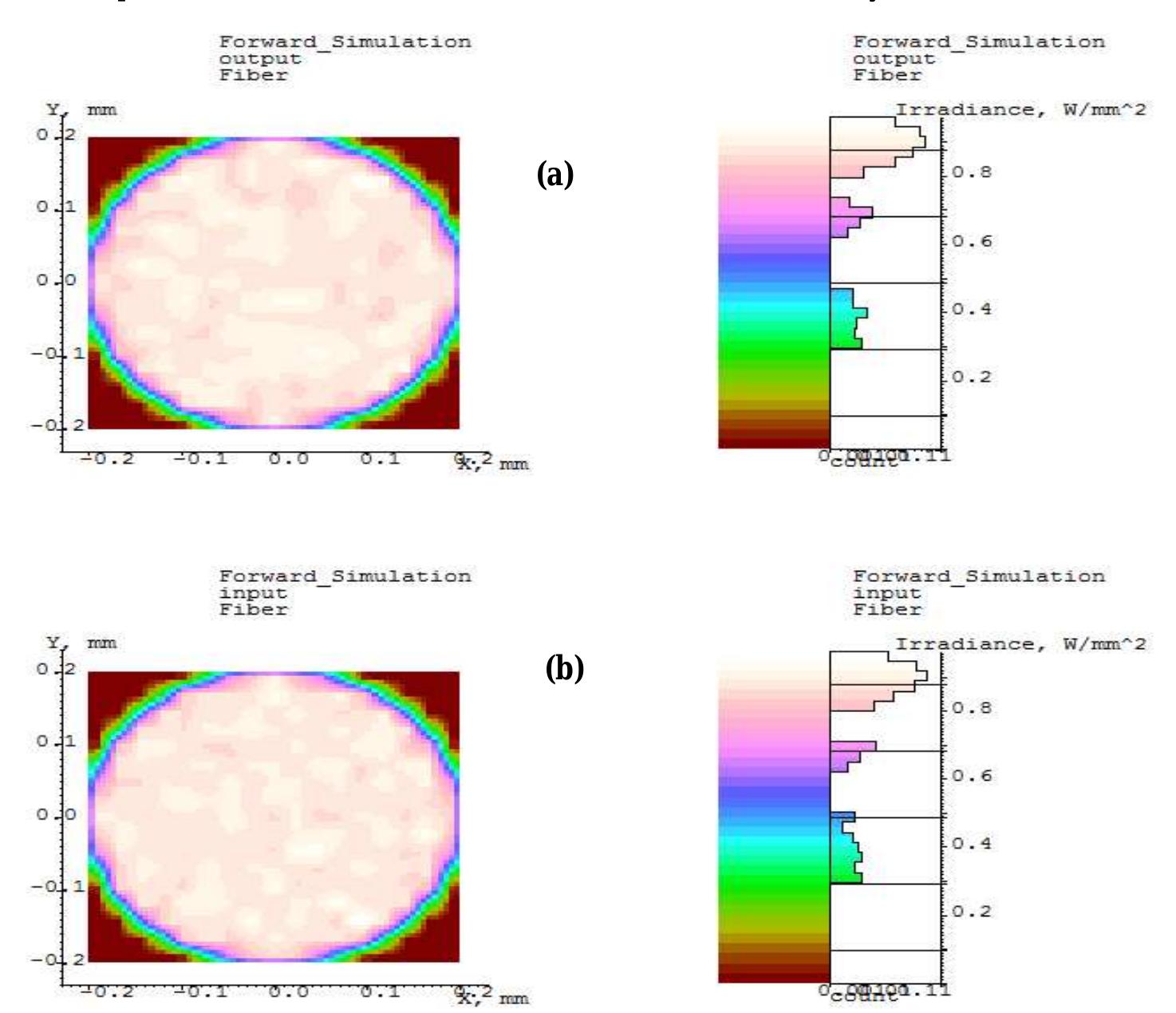 The raster chart in figure 6 shows the colour map of the