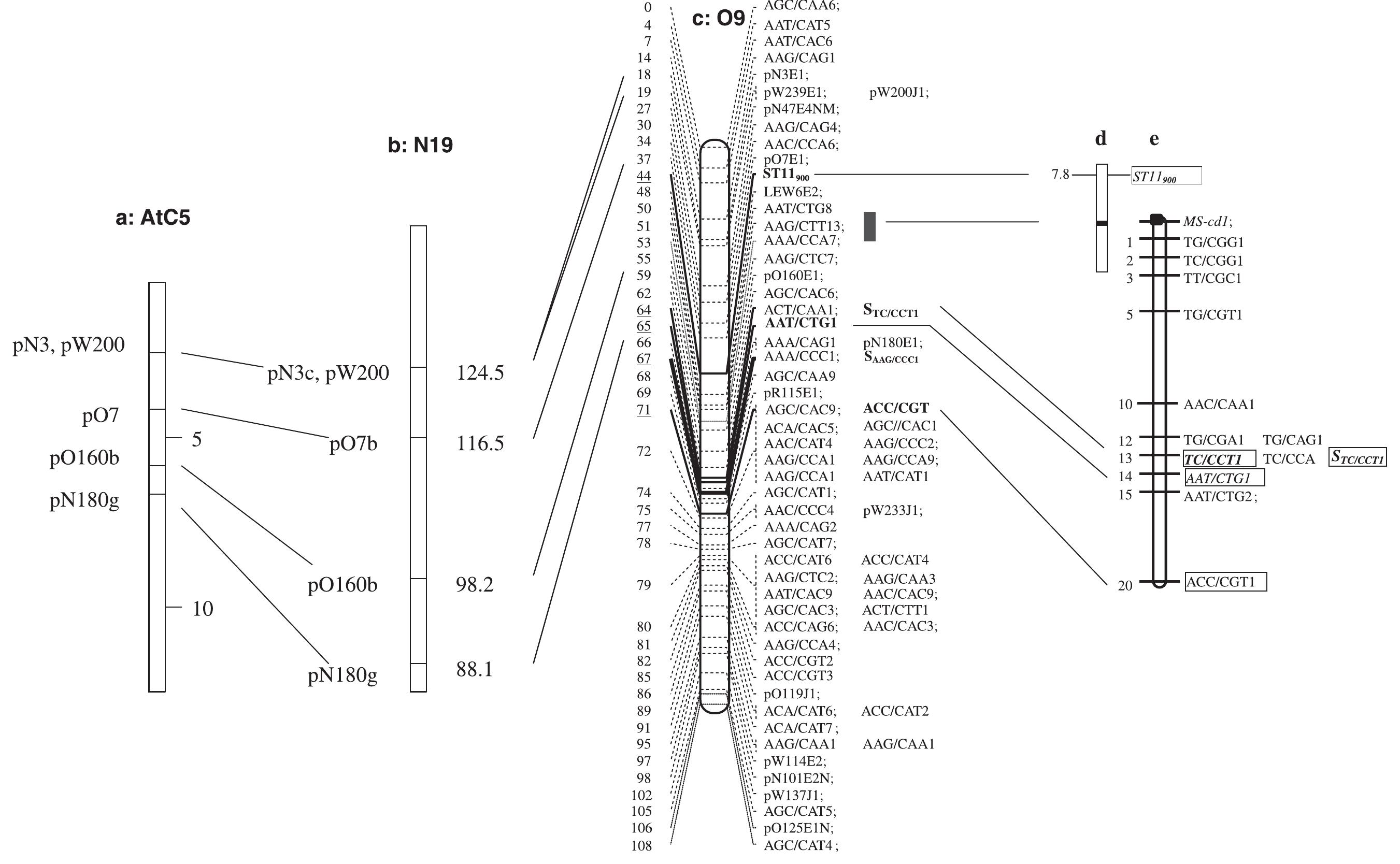 Linkage maps of brassica oleracea o9 (chromosome 3). map