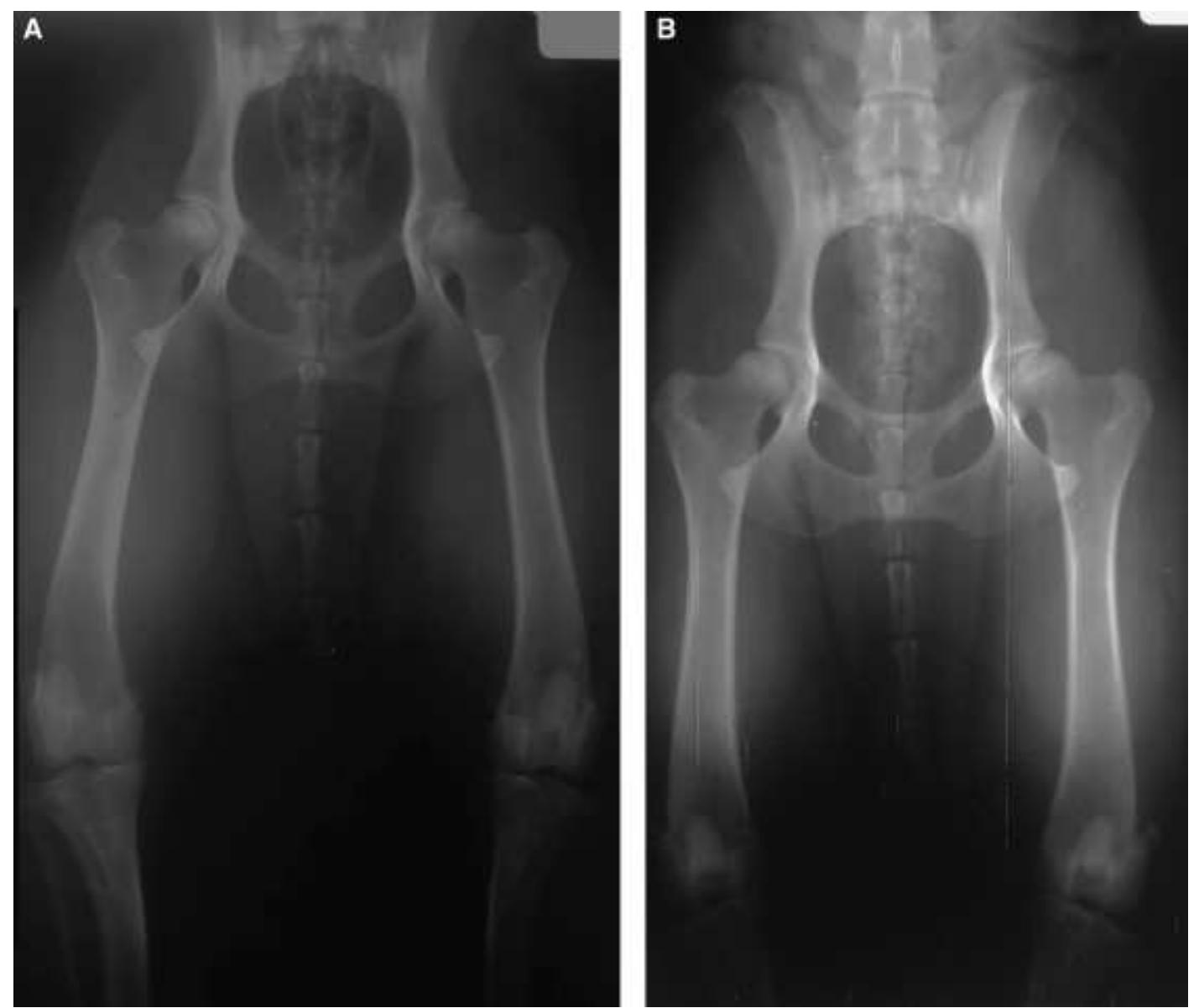 (PDF) The Effect of a Technical Quality Assessment of Hip-Extended ...