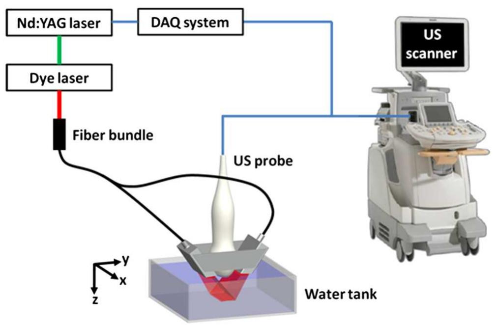 Precisionscan (PDF) In vivo three-dimensional photoacoustic imaging based on a ...