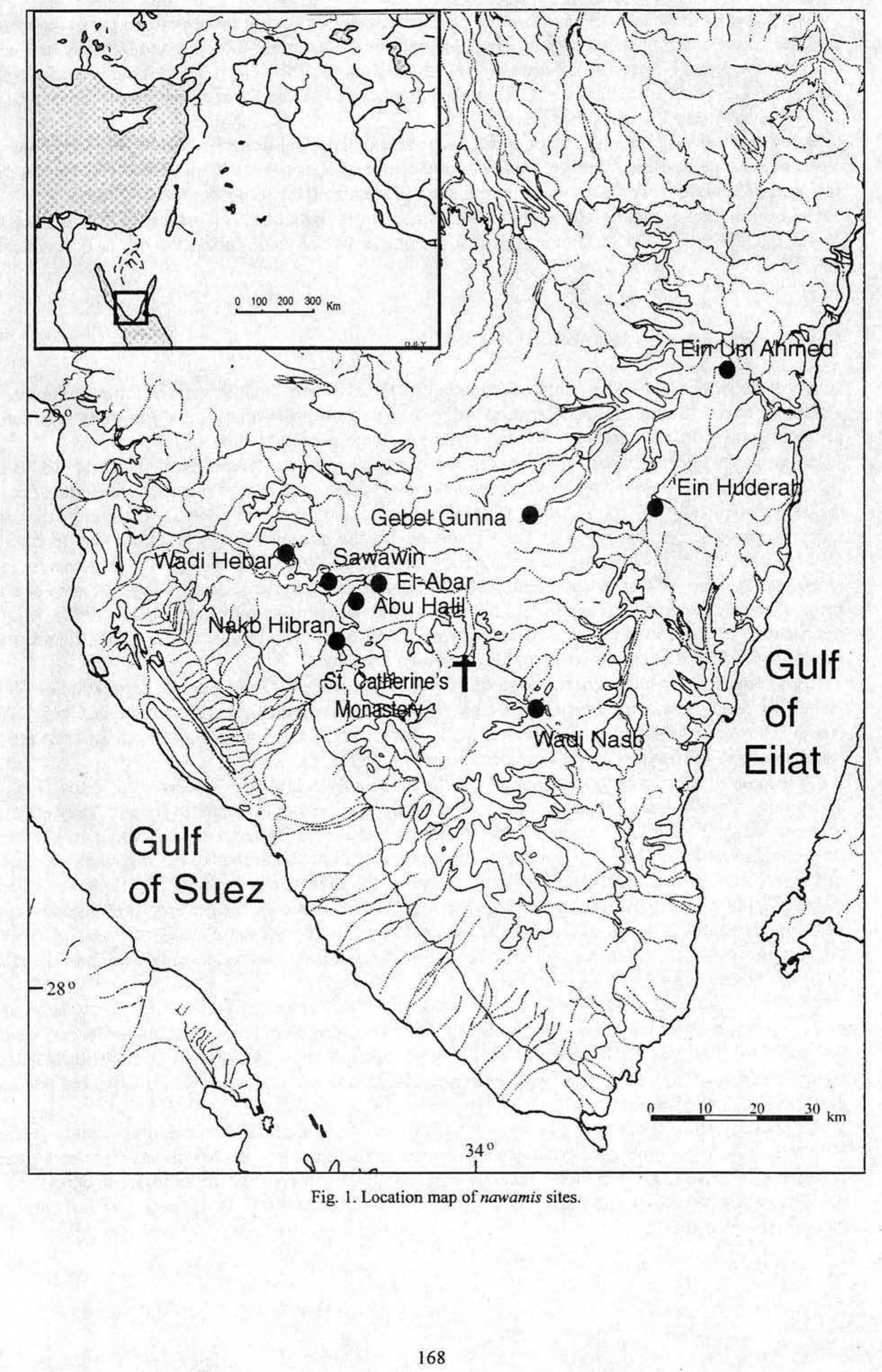The Shells of the Nawamis in Southern Sinai