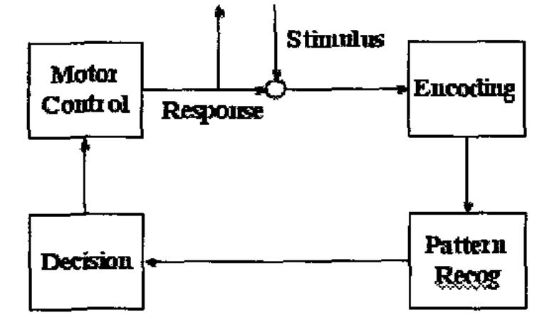 Figure 1 - from Visualizing cognitive systems: getting past