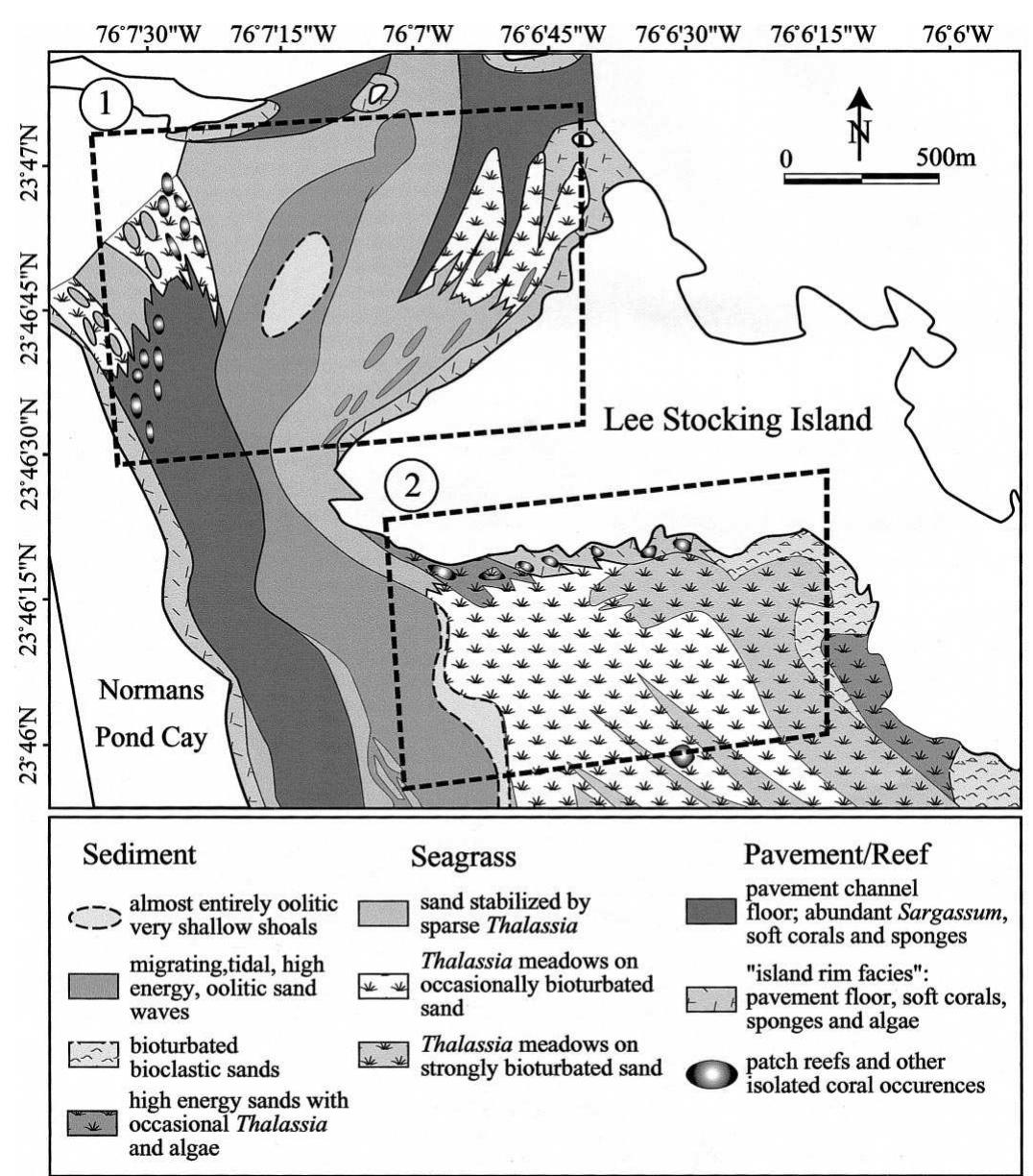 Map of bottom types in the vicinity of lee stocking island