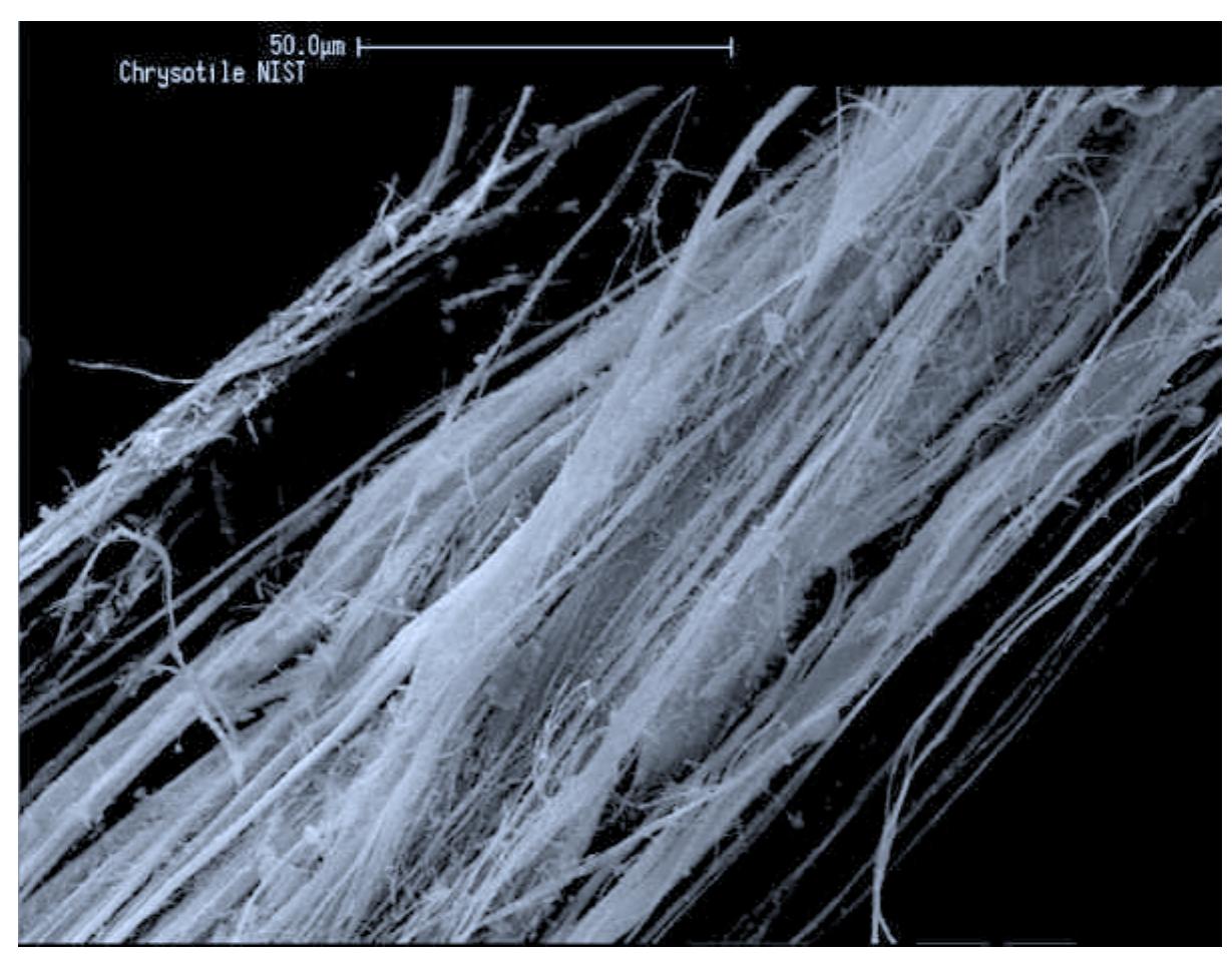 Lizardite Raman (PDF) Characterization of Chrysotile, Antigorite and Lizardite by FT ...