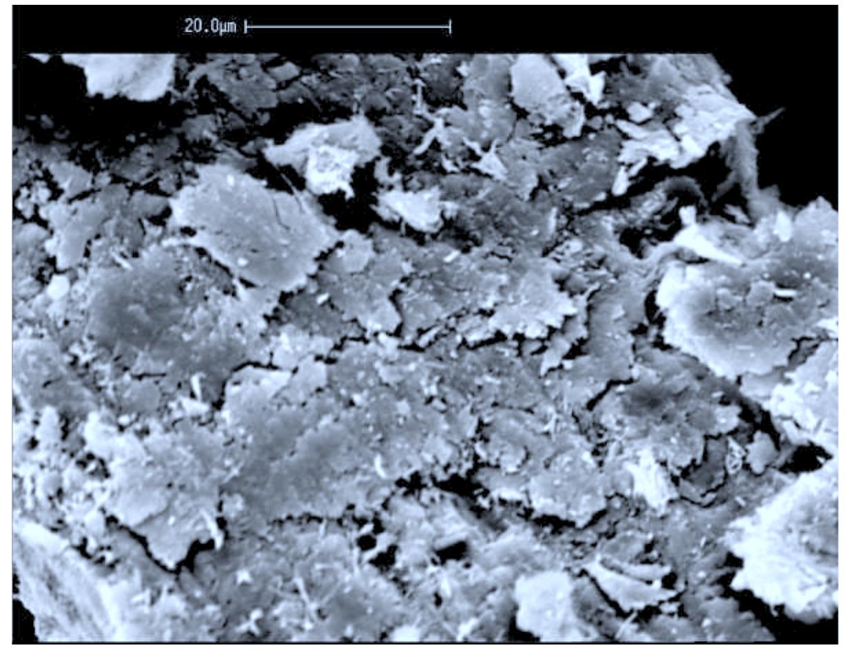 (PDF) Characterization of Chrysotile, Antigorite and Lizardite by FT ...