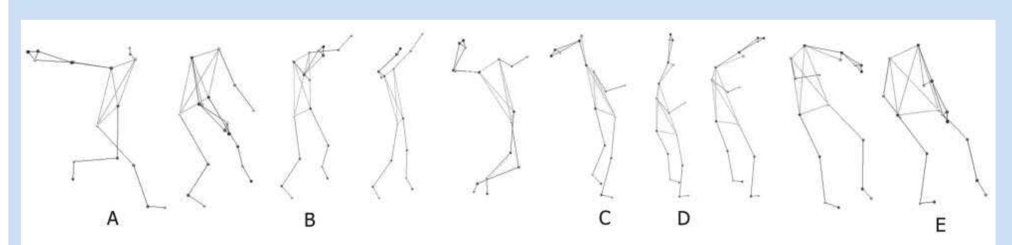 Figure 1 - from Upper limb biomechanics during the