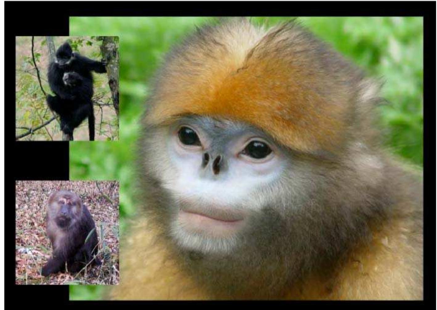 (PDF) Hei Cooperation for Capacity Building in Biodiversity ...