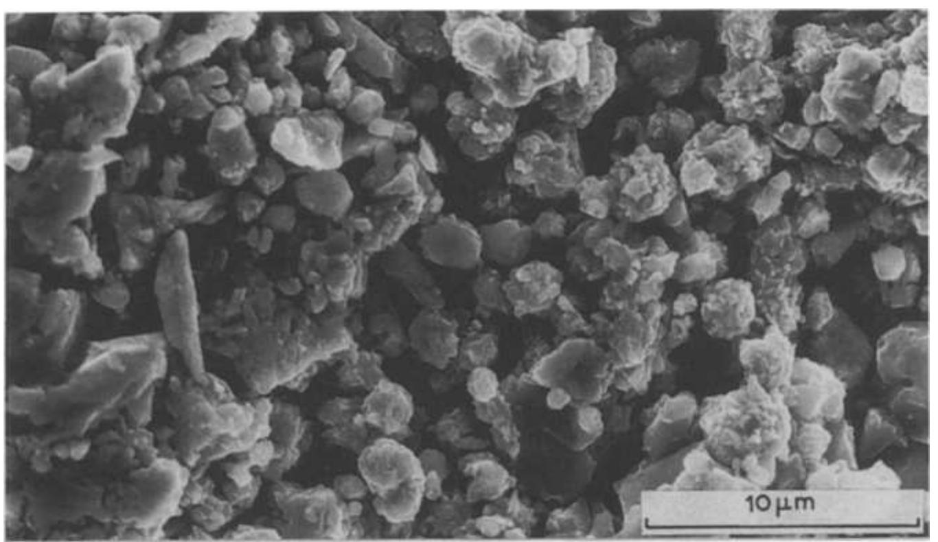 and heated to 1600°C. The electrode obtained from 80% of Raney nickel and 20% of nickel powder (60% Ni in the alloy) showed 4,5) = 182 mV at 25°C (after leaching) but it was much less stable mechanically than the former one. Finally, the electrode made of 60% of Raney nickel and 40% of nickel powder (70% Ni in the alloy, atomic ratio ~ 1 : 1) showed a very low activity towards h.e.r with yy) = 507mV. It showed resistance to the leaching procedure, probably because of the formation of the NiAl phase [1]. 