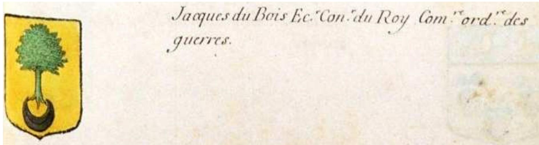 Fig. 20 : Coat of arms of Jacques du Bois, Armorial général, vol. 24 (Paris II), p. 1615 (Bibliotheque Nationale de France, Francais 32251). 