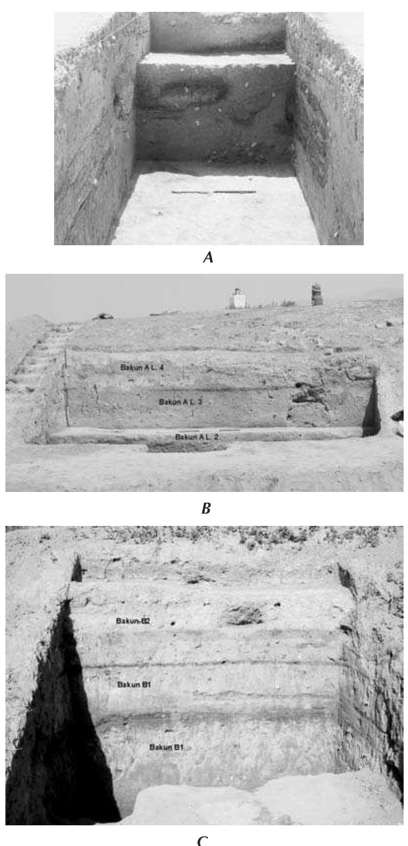 Trench Structure (a) north, south, and west sections of the main trench at