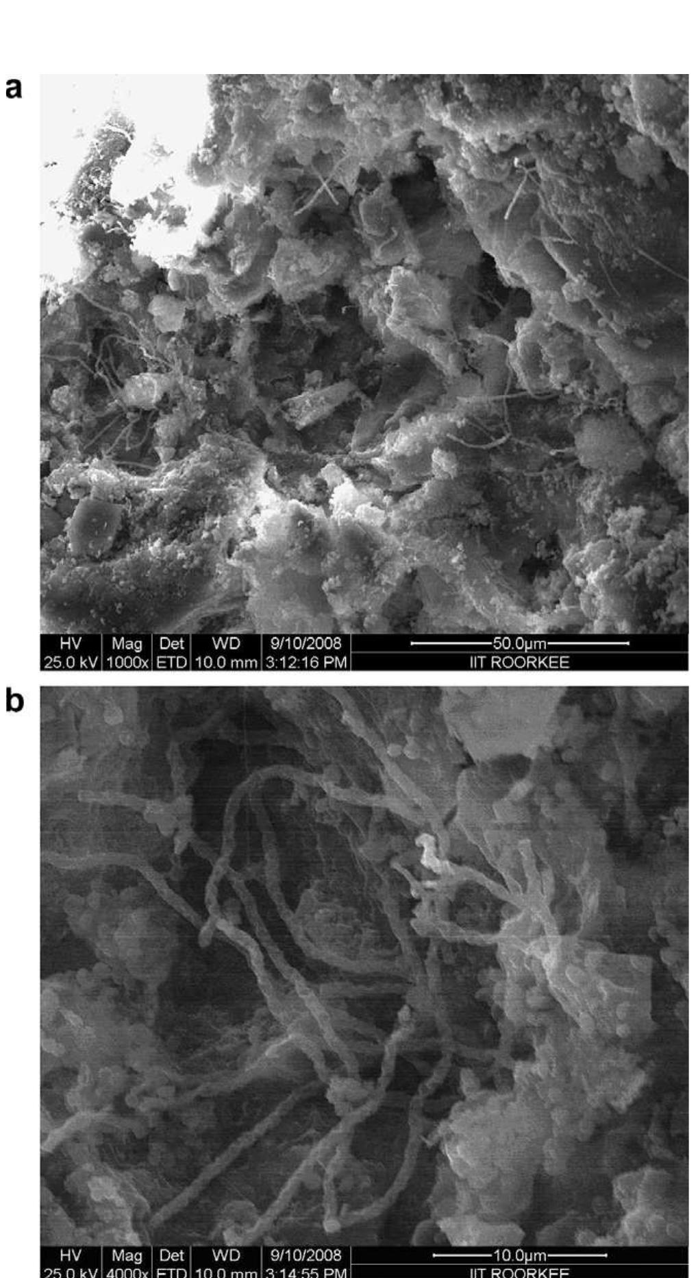 Fig. 2. Micrographs of pressmud sample: (a) FE SEM analysis, magnification 1000 x: (b) FE SEM analysis, magnification 4000. 