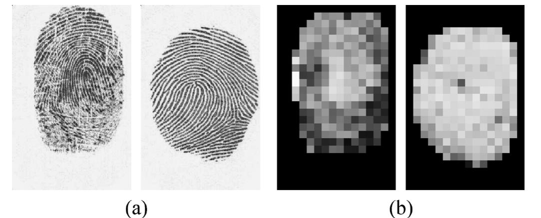 (PDF) A Comparative Study of Fingerprint Image-Quality Estimation Methods
