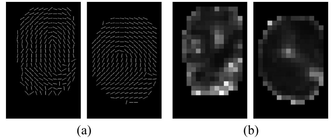 (PDF) A Comparative Study of Fingerprint Image-Quality Estimation Methods