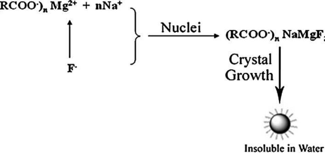 Schematic diagram showing the formation process of the