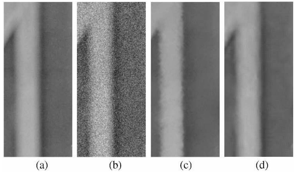 Figure 5 - from A Robust and Fast Non-Local Means Algorithm