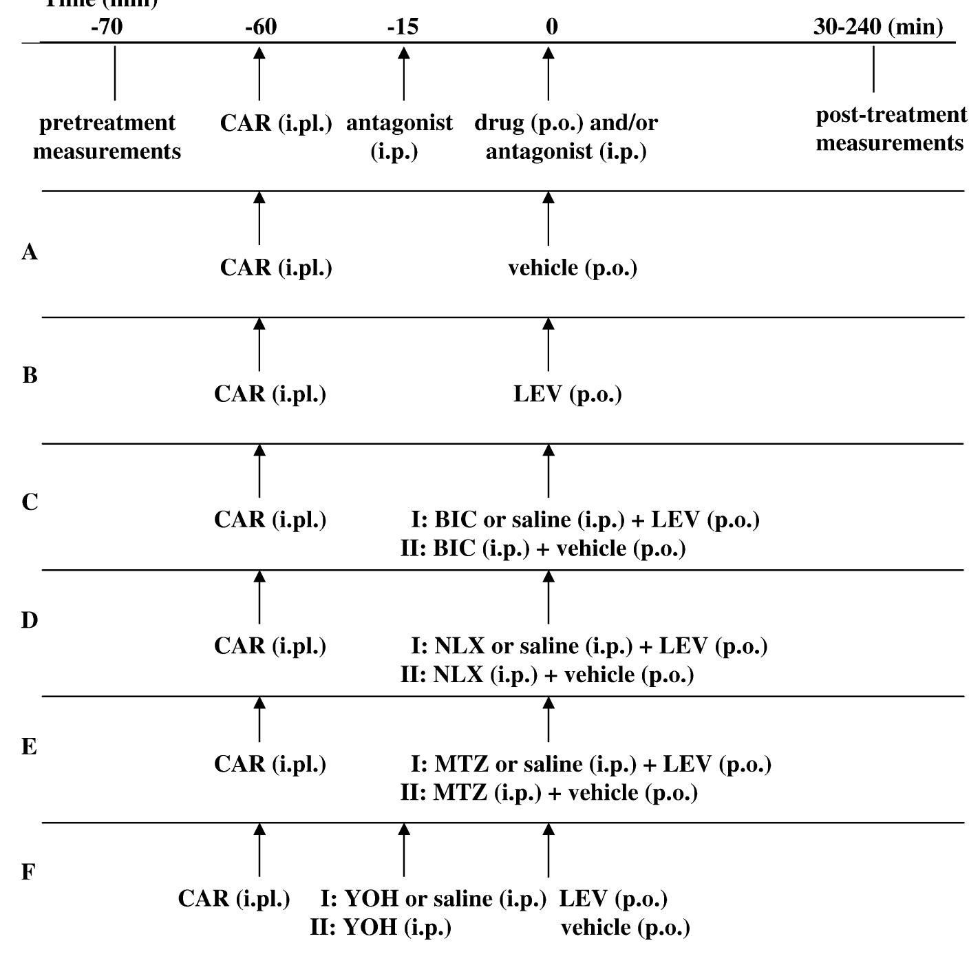 Lev Protocol Songraph (PDF) The antihyperalgesic effect of levetiracetam in an inflammatory ...