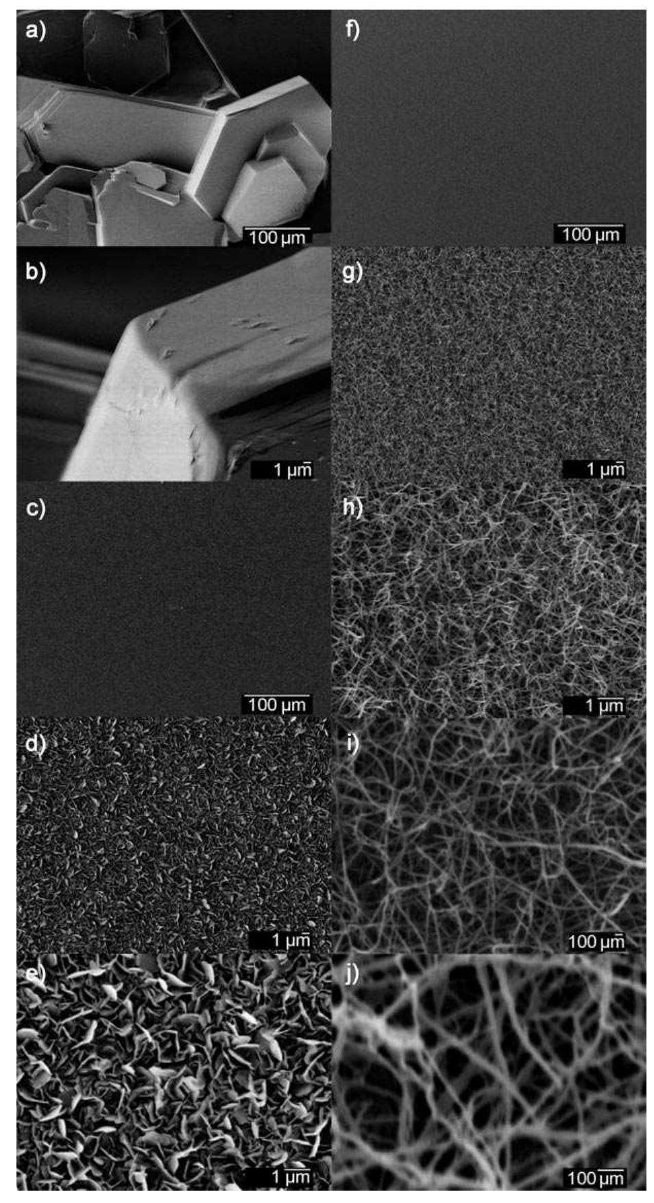 Scanning electron microscope (sem) images of l-valine and