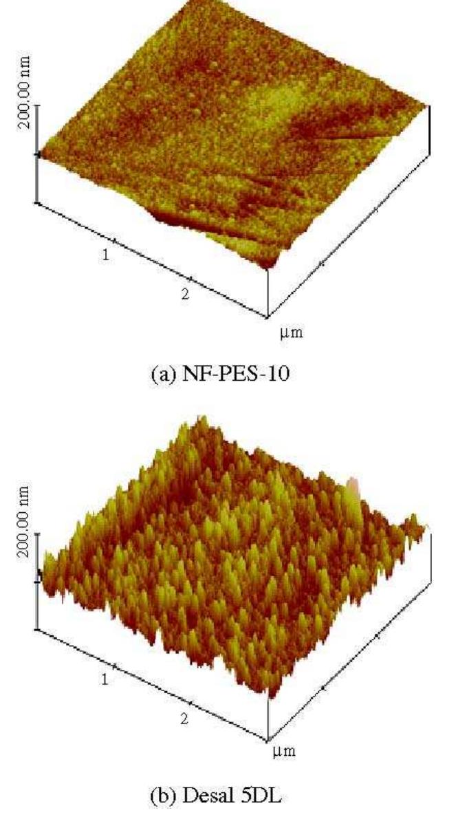 Tapping mode afm images of (a) nf-pes-10 and (b) desal 5dl.