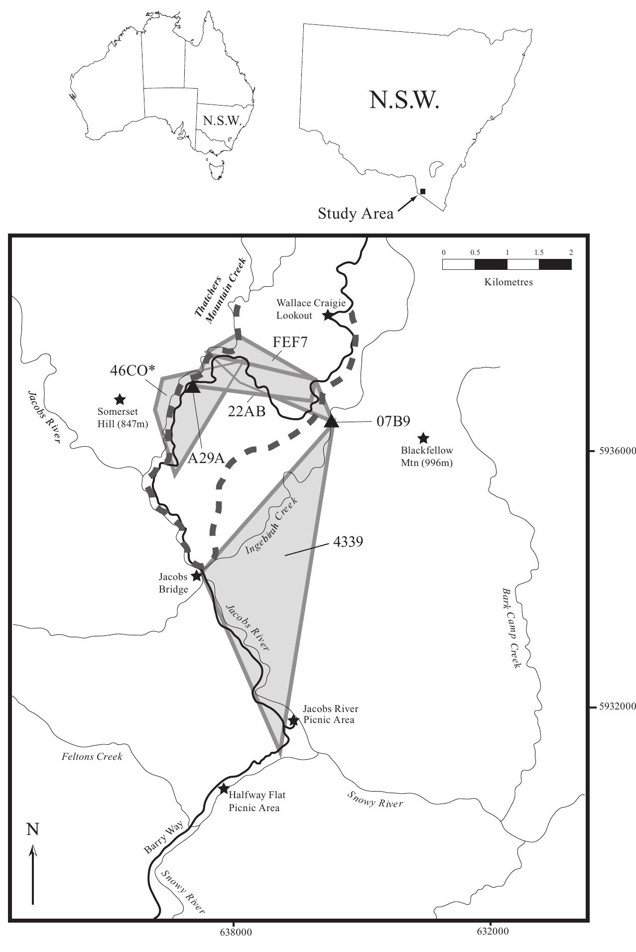 (PDF) Aerial baiting for wild dogs has no observable impact on spotted ...