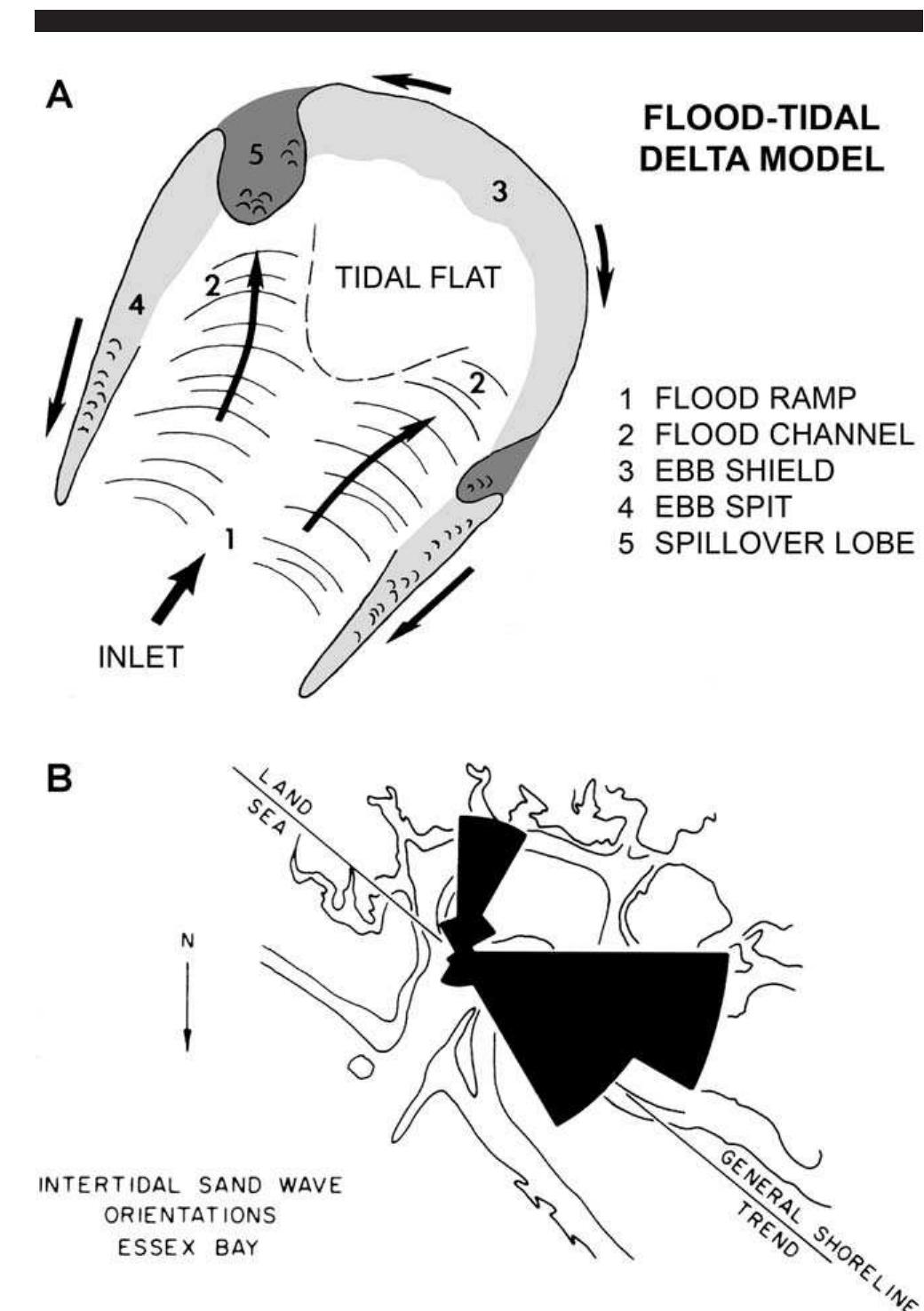 Tidal Components The general model for the morphology of tidal inlets.