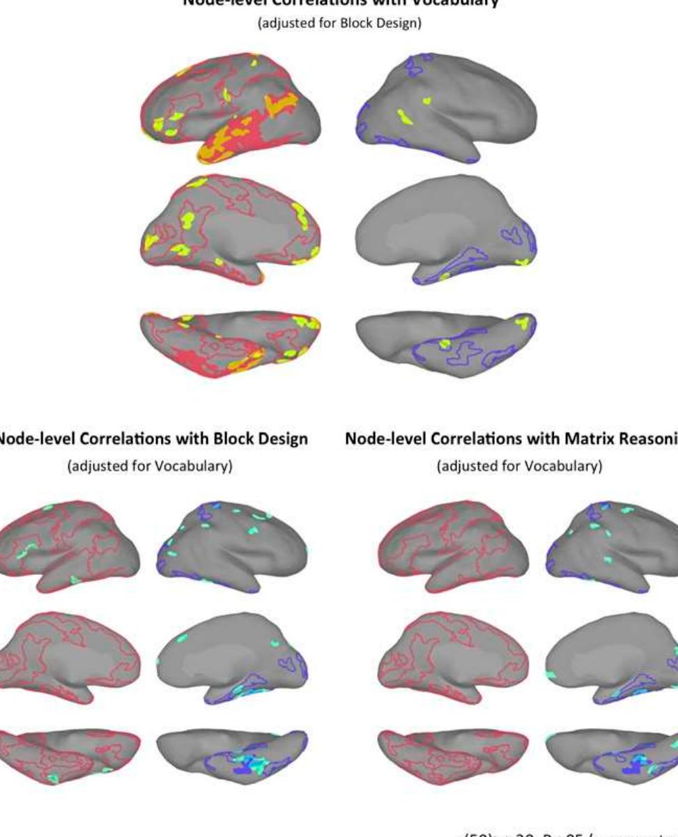 (PDF) Two distinct forms of functional lateralization in the human brain
