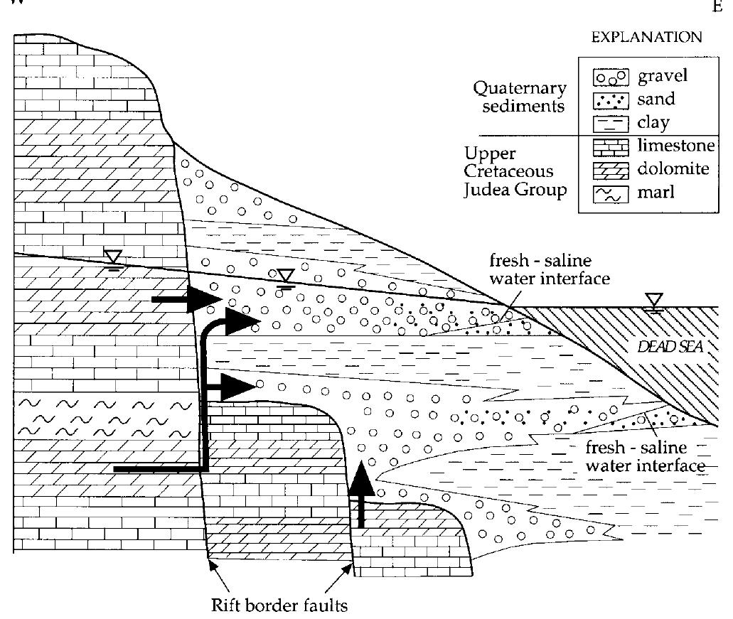 Schematic cross section (not to scale) showing field rela-
