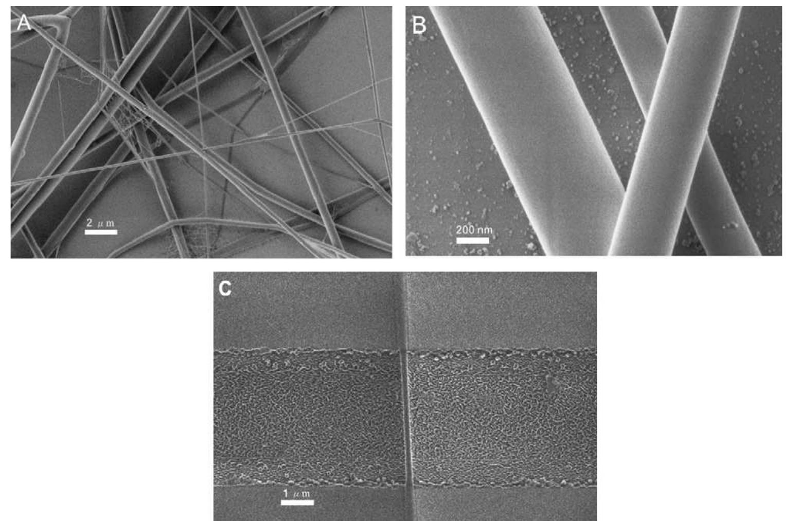 (PDF) Mechanical properties of single electrospun collagen type I fibers