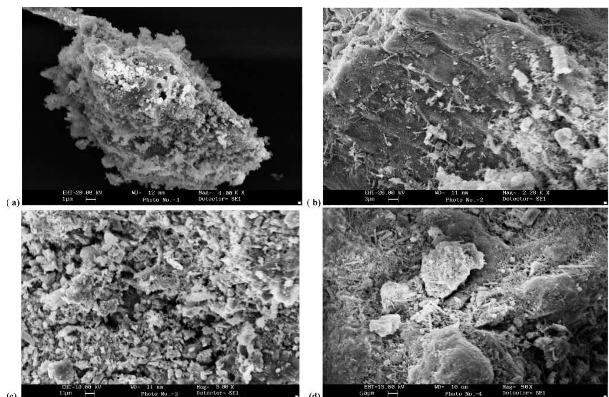 ‘igure 2. sem images of activated mswi bottom ash at