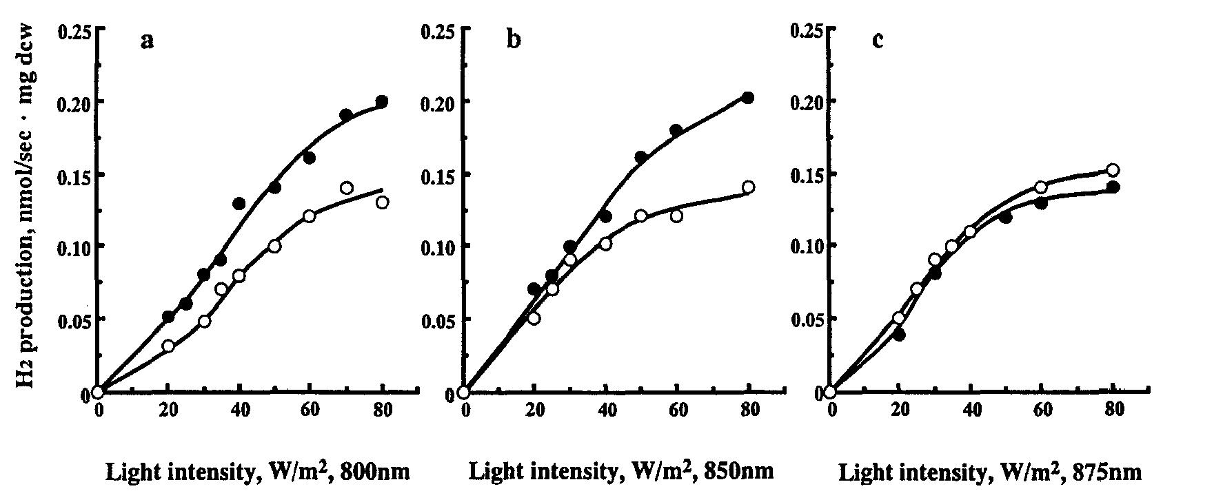 (PDF) Photobiological hydrogen production