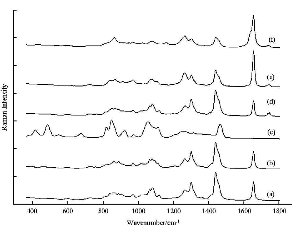 (PDF) Reference database of Raman spectra of biological molecules