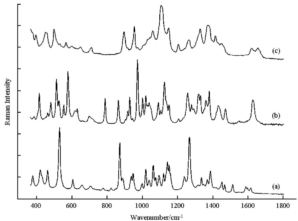 PDF Reference Database Of Raman Spectra Of Biological Molecules pdf-reference-database-of-raman-spectra-of-biological-molecules