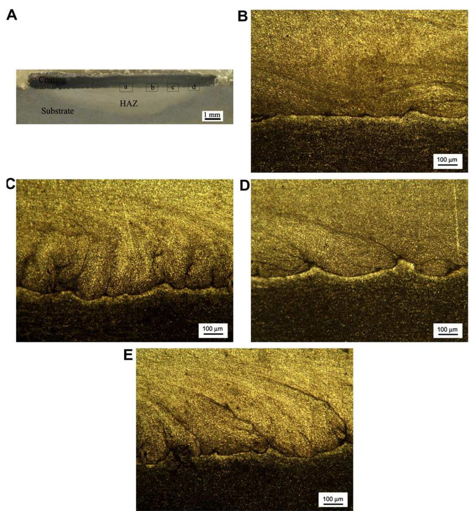(PDF) Microstructural Evolution During Friction Surfacing of Austenitic ...