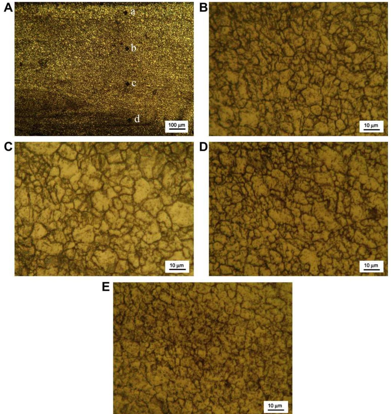 (PDF) Microstructural Evolution During Friction Surfacing of Austenitic ...