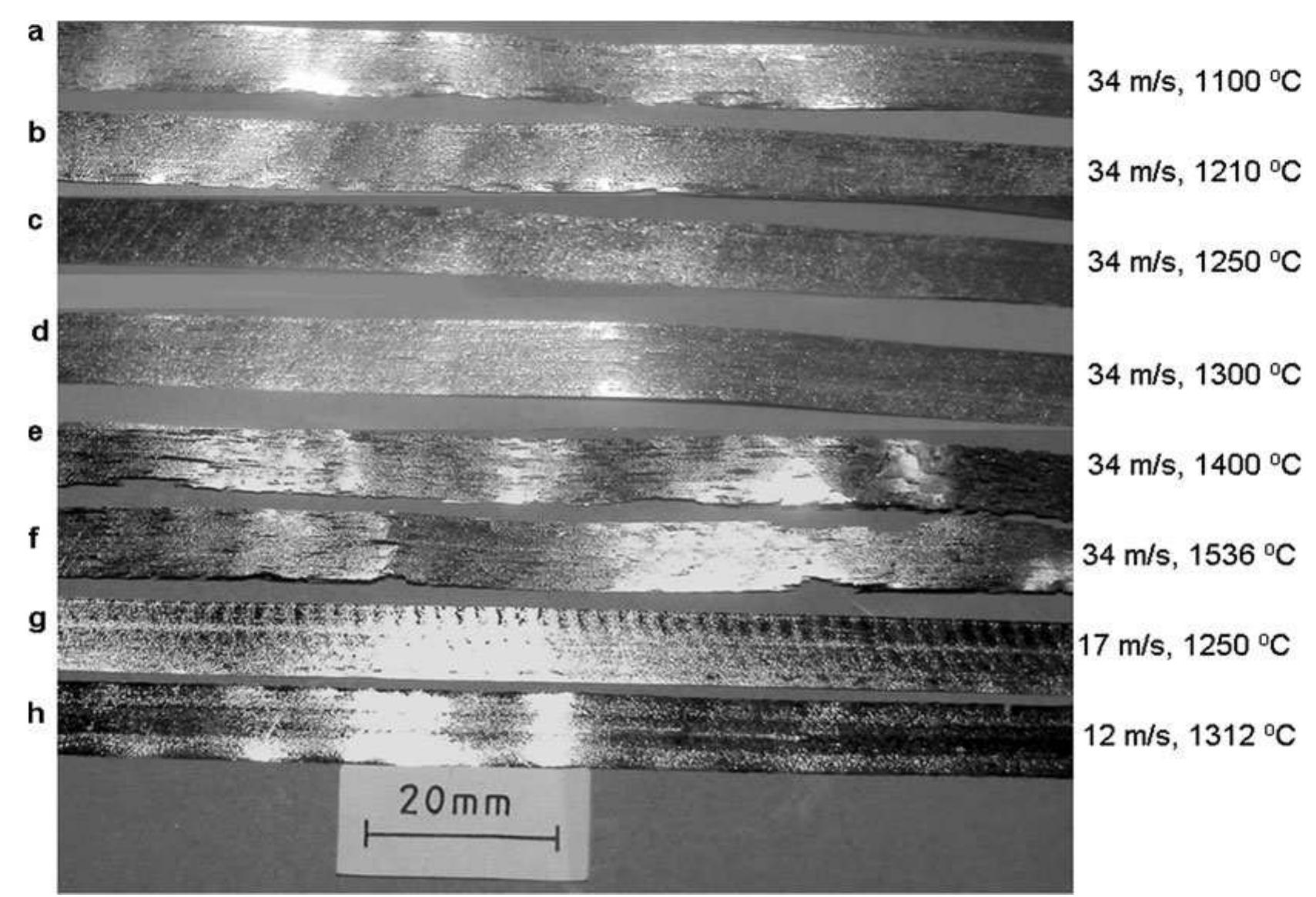 —surface topography of the pfms ribbons at different