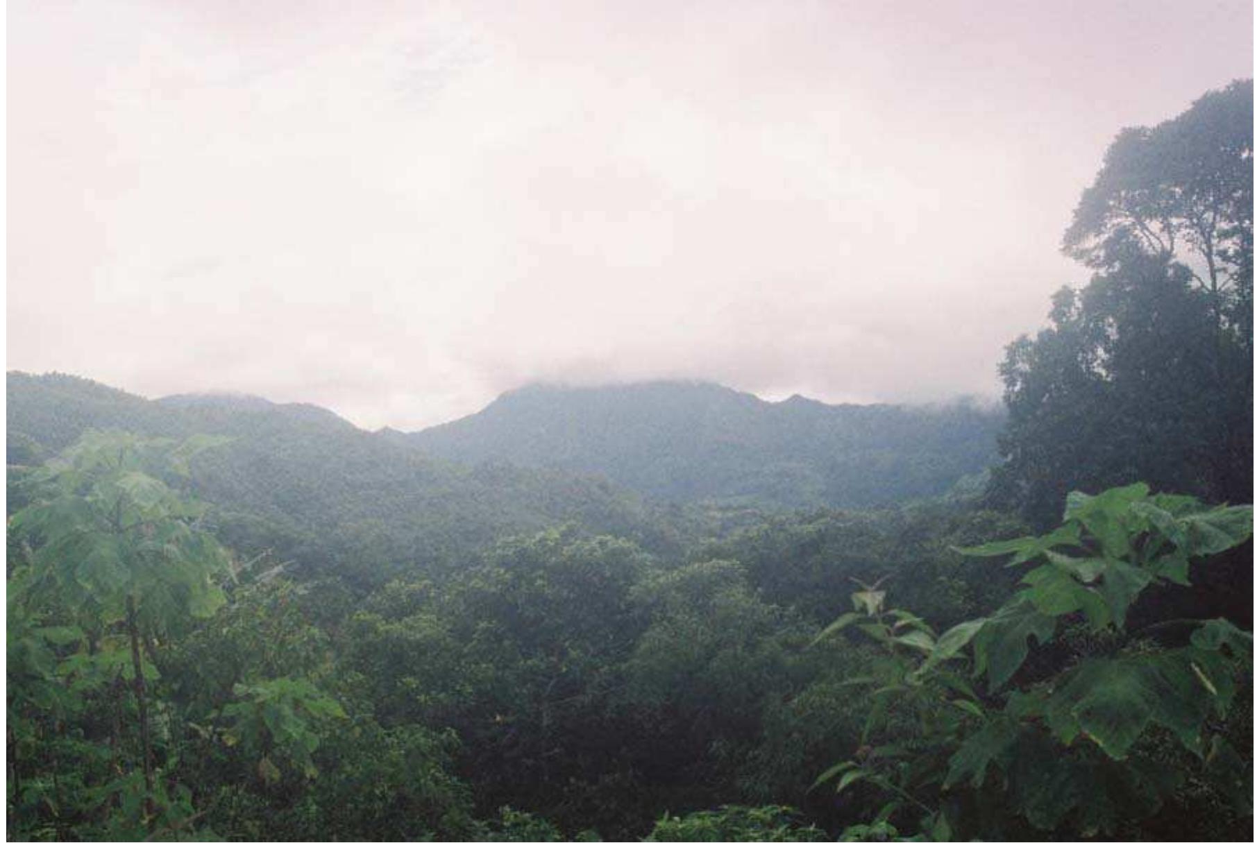 Sibalom (PDF) Notes on Sibalom Natural Park Survey