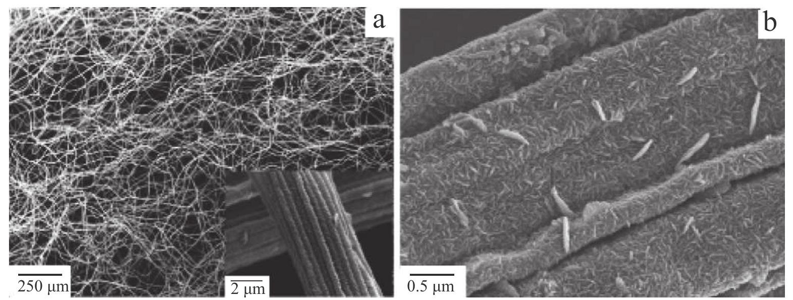 - sem images of hollow tio, fibers in yuan’s work (yuan et