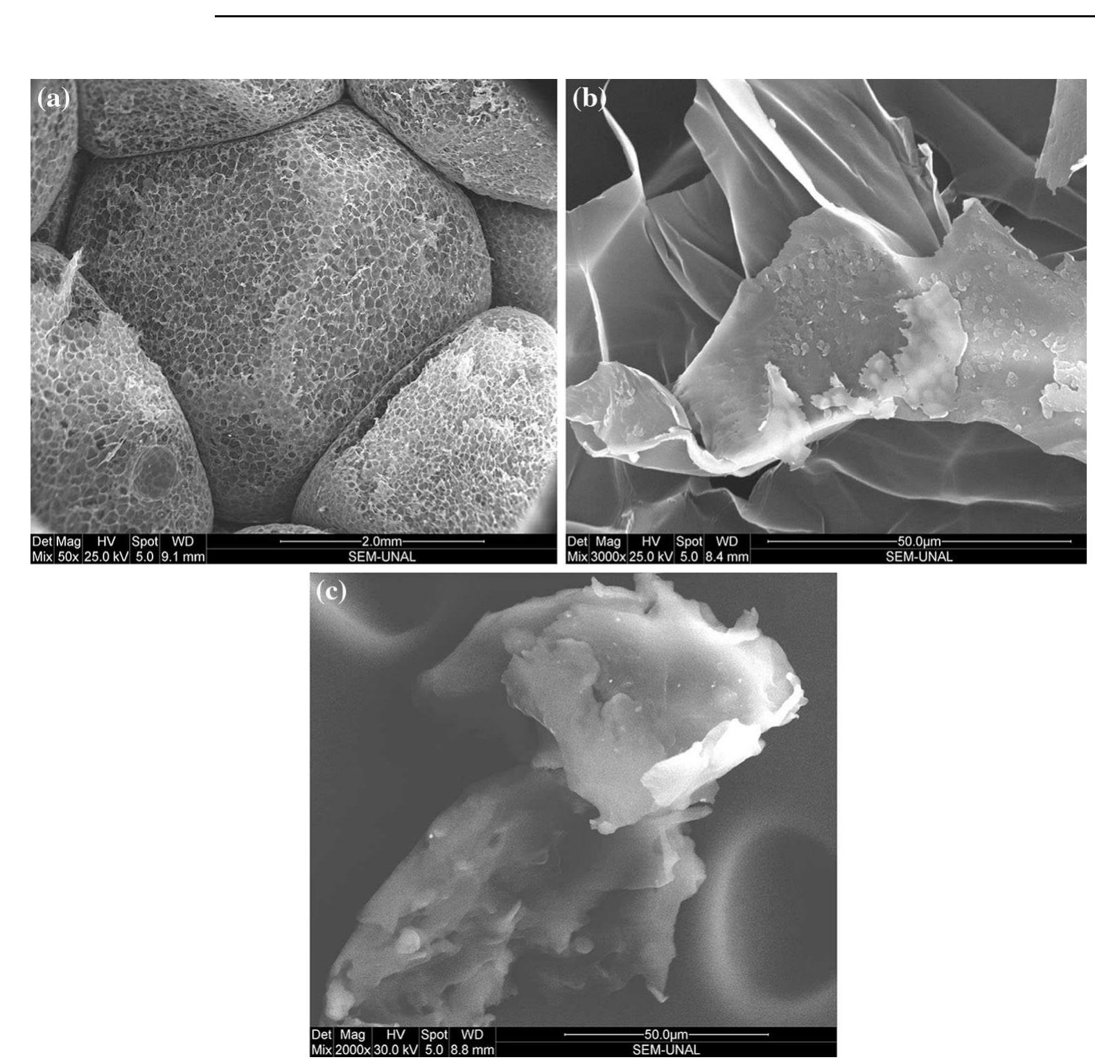 (PDF) Waste and Biomass Valorization Expanded Polystyrene (EPS) and ...