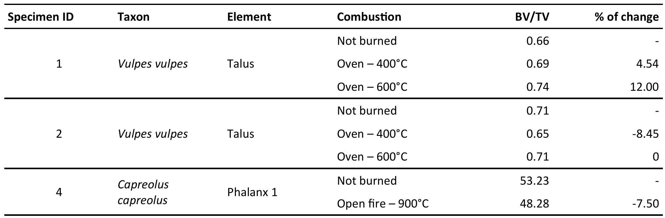 Table 2. Bone Volume/Total Volume (BV/TV) counted for the whole bones before and after the heating sessions. % o change of the parameter was calculated following the formula = (initial value/final value*100)-100.  from every bone prior to burning in order to provide a reference scale for comparison after burning (Lazenby et al. 2011). Mean trabecular spacing could not be quantified from the domestic pig talus, due to the peculiar shape of that portion of trabecular network (Figure 2).  decreases in Specimen 4 and follows an ambiguous pattern in Specimen 2. The BV/TV ratio was not recorded for Specimens 3 and 5 due to the presence  of visible cracks that compromised the analysis. (Table 2). 