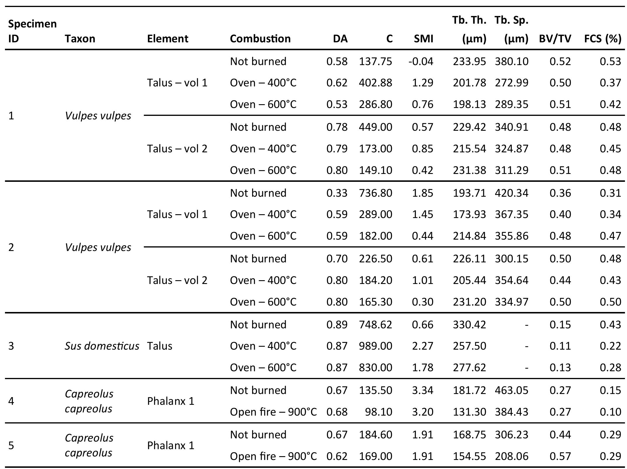 Table 3. Parameters measured on the subvolumes of trabecular tissue. Abbreviations: DA: degree of anisotropy; C: con- nectivity; SMI: Skeletal Model Index; Tb.Th: mean of Trabecular Thickness; Tb.Sp.: mean of trabecular spacing; BV/TV: Bone Volume/Total Volume; FCS: Fraction of Concave Surface.  the less dense inner layer of bone. Exfoliation is not observed in Specimens 1, 2, 3 and 4. Clear cracks parallel to the outer bone surface are visible only in Specimen 5 and are related to diaphysis breakage and deformation.  For instance, Specimen 4 underwent an overall reduction in length by 10.90%, but a reduction in  proximal breadth of 17.80%. This a  nisotropic change  affects bone internal structure by deforming the  trabecular network and the cortical  structure of the  bone shaft (diaphysis). Other alterations occurred in the cancellous bone of tarsal elements as well as  epiphyses and diaphyseal portions of  phalanges. In the  cortical portion of tarsal bones the BV/TV ratio  appeats to change as a result of  obstruction) of small porosities  collapsing (and obsetved by an  increase in the index value or because of the presence of micro cracks reflected in the diminution of the  index value. The degree of dehydrati  on induced by the  heating processes appears to be followed by the loss 