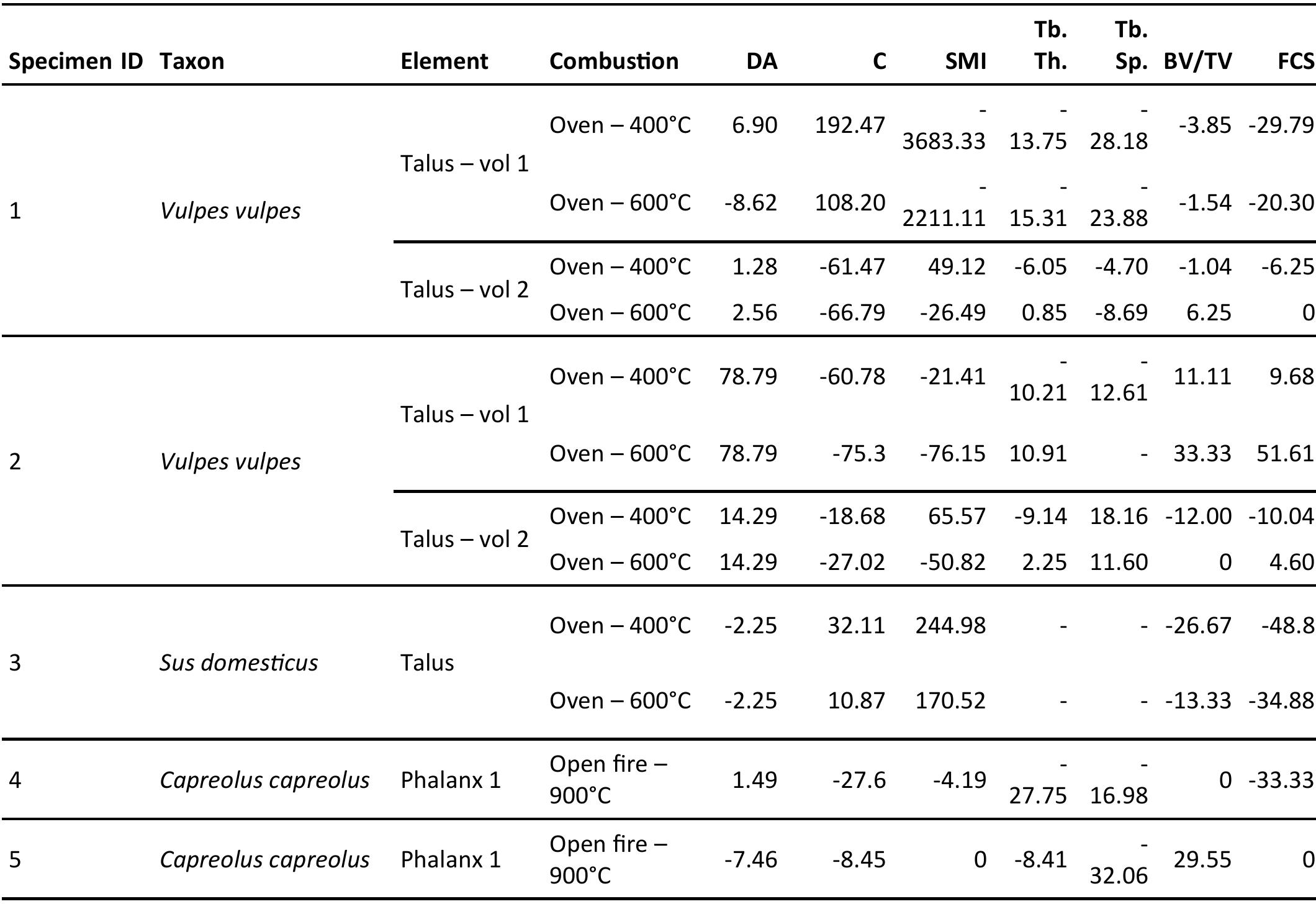 Table 4. Percentage change for parameters measured on the subvolumes of trabecular tissue. Formula = (initial value final value*100)-100.”  with white colour matrix (sometimes referred to as calcined bone) and structural disintegration. The higher density of such cracking observed in the outer part of the diaphysis of Specimen 4 (Figure 3B) could  be related to the heat-induced recrystallisation of bone.  of pore space in the compact bone of diaphyseal shafts. Changes in BV/TV ratio of cancellous bone can be due to destruction and deformation of trabeculae similarly associated with bone shrinkage. The measure of connectivity may change due to trabecular destruction (corresponding to a diminution of the index), or it may be due to splitting or cracking (corresponding to a possible increase in index values). Diminution in trabecular thickness could also be due to rapid bone dehydration, while diminution in trabecular spacing could be related to shrinkage. An increase in trabecular thickness in three of the red fox specimens examined after the second heating session is difficult to explain with these data. 