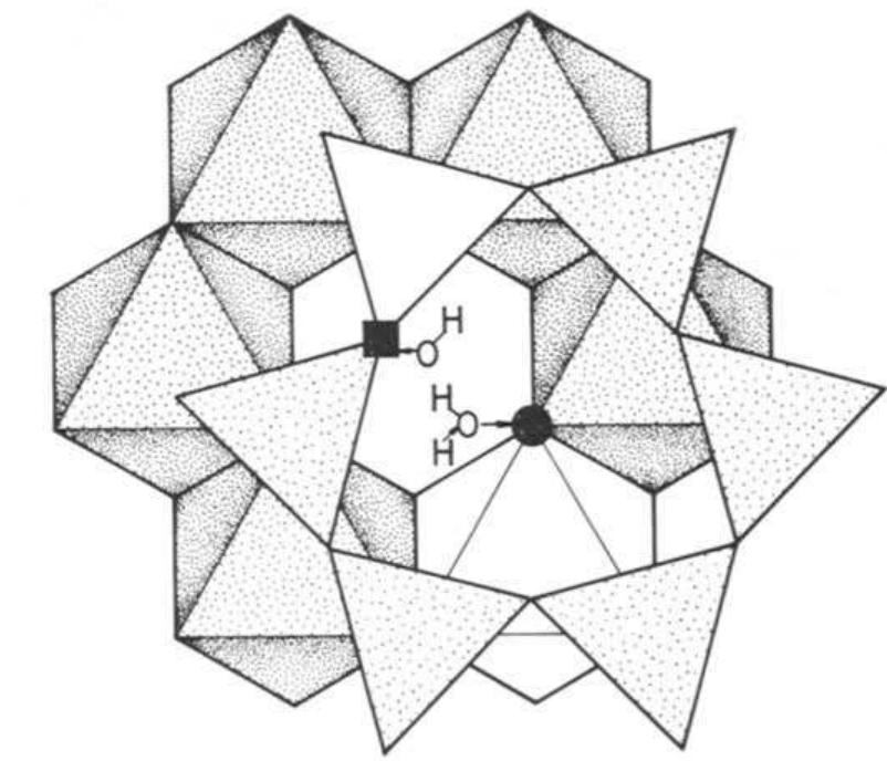 The first two layers of a 2:1 neutral di- octahedral layer