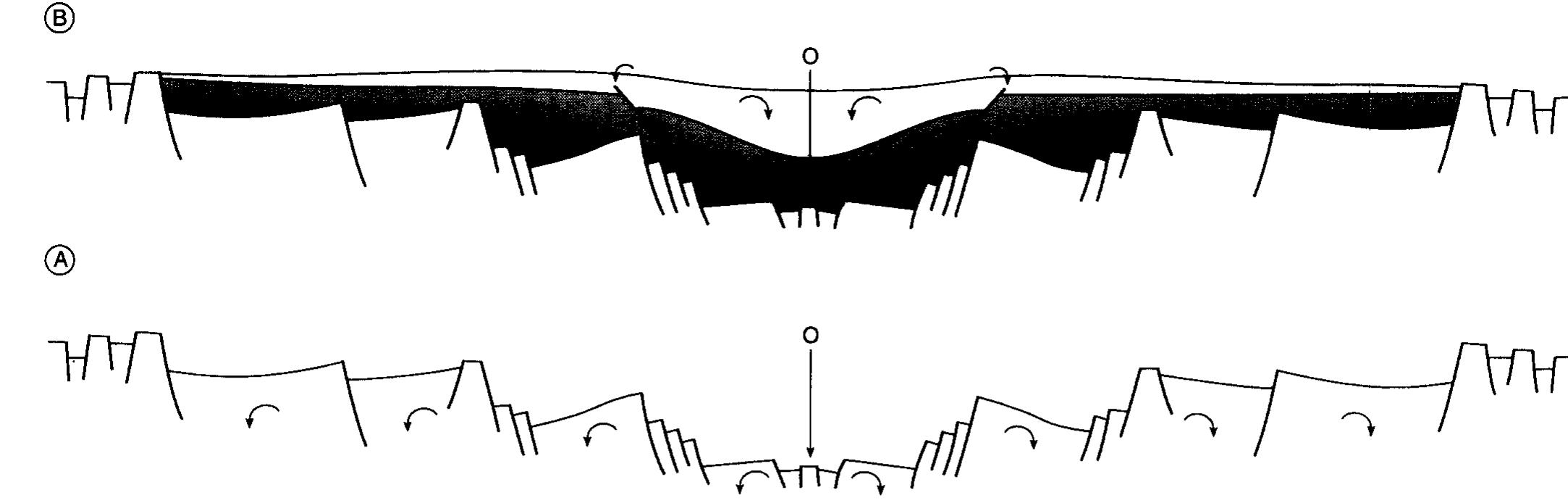 Schematic cross-section of a rift graben. note rotation of