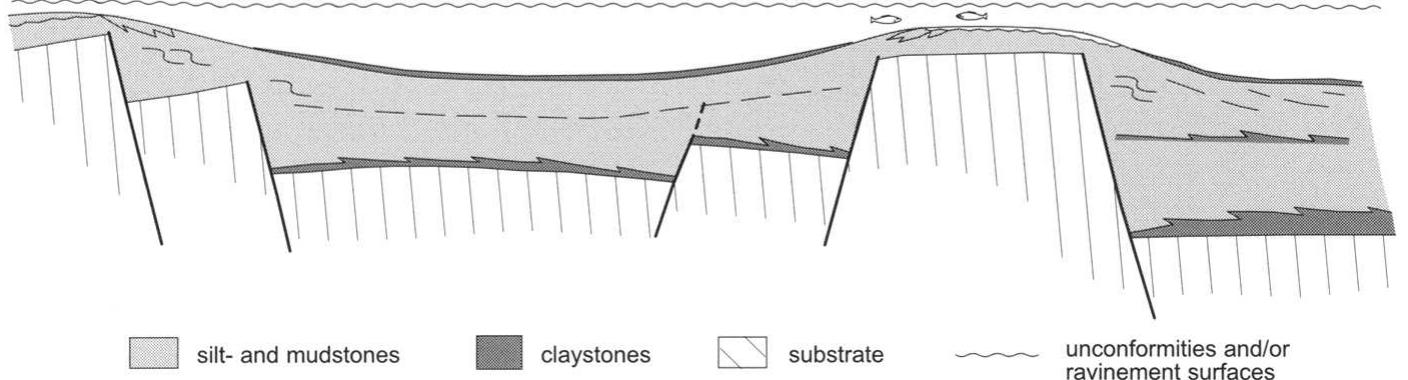 Figure 8 - Syn-rift sedimentary architectures in the
