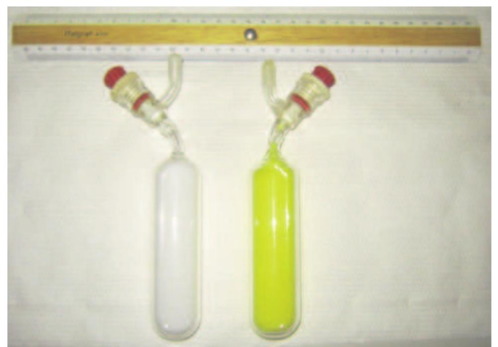 Fic. 2. Gas vials with the Teflon and the inlet way for the gas, pre- (to the left) and post- (to the right) sampling. The with colour is the NaOH-Cd(OH), suspension whereas the yellow colour is due to the reaction of H,S with Cd?* to form insoluble CdS. Note the inlet way is filled with MillQ water and wrapped with Parafilm®.  A critical part is the outlet gas flow after the dewared tubes. Giggenbach and his fellows normally use gas flask up to 300 mL, in which 100-125 mL of NaOH are added and all the gas flux is convoyed into the gas bot- tle. This implies that fragile, heavy and cumbersome 