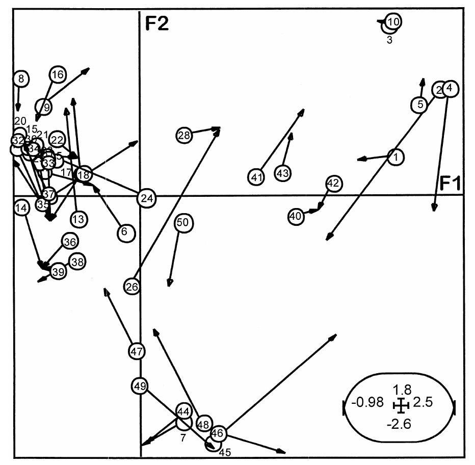 Api 20ne Instructions.pdf (PDF) Comparison of API 20NE and Biolog GN identification systems ...