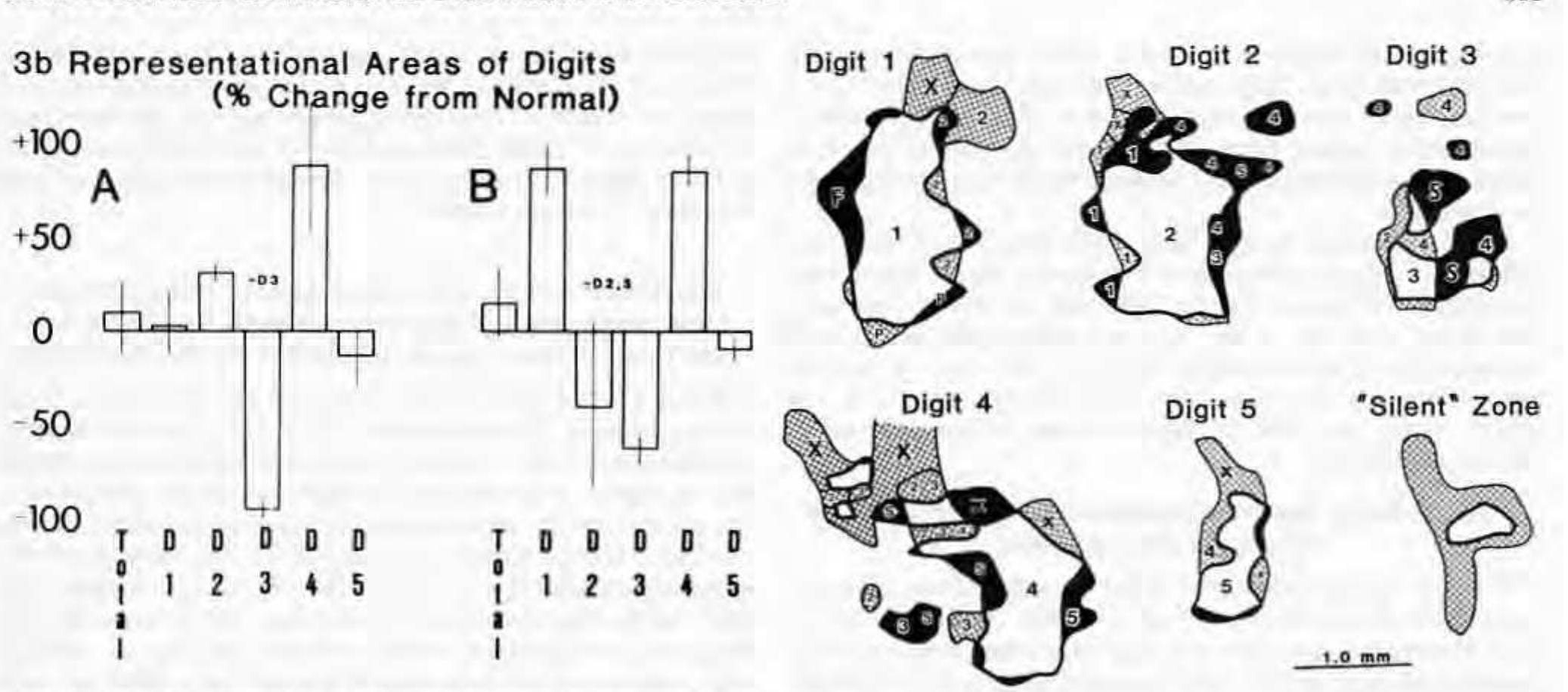 Figure 10 - from Somatosensory cortical map changes